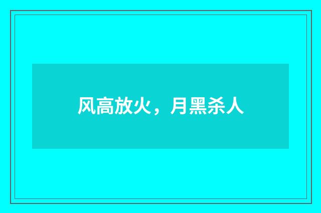 风高放火，月黑杀人
