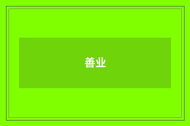 善业