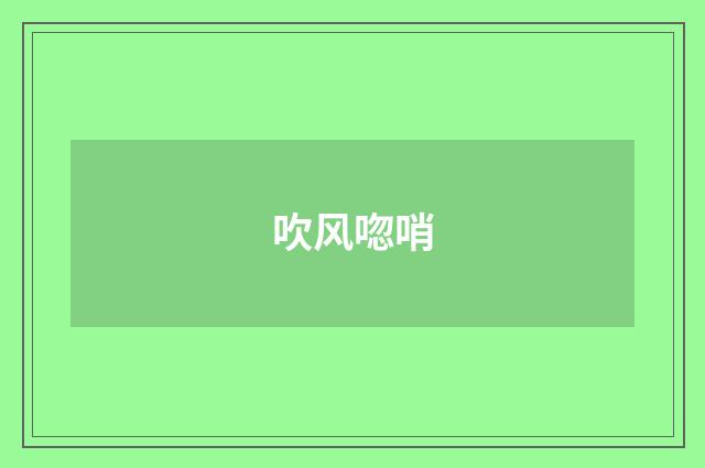 吹风唿哨