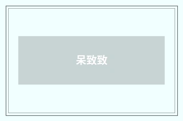 呆致致