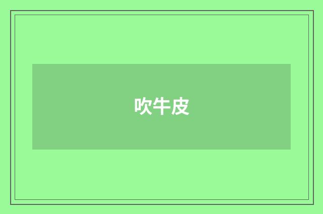 吹牛皮