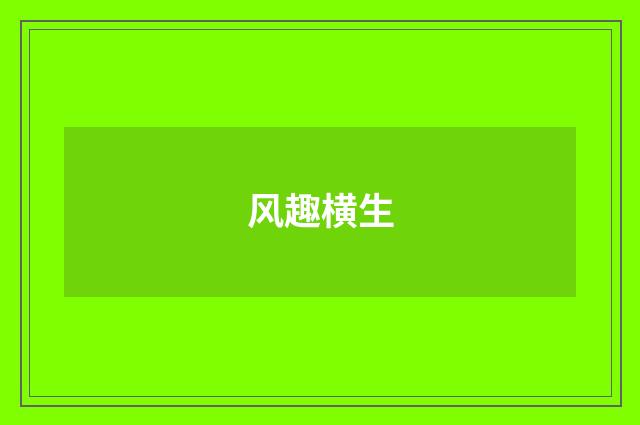 风趣横生