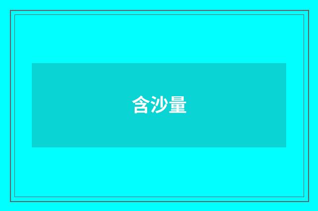 含沙量