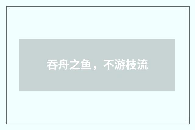 吞舟之鱼，不游枝流