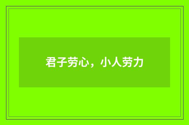 君子劳心，小人劳力