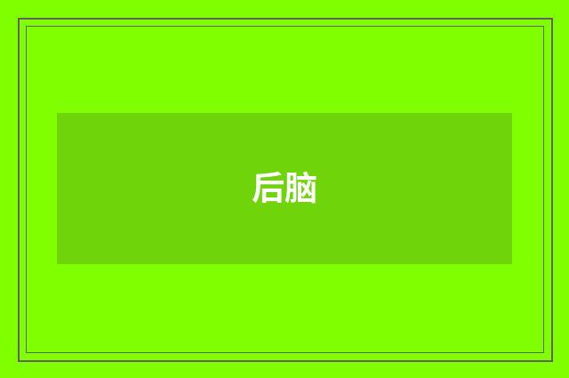 后脑