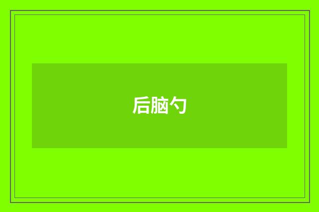 后脑勺