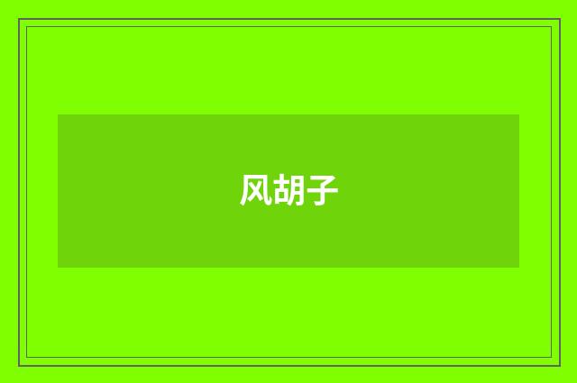 风胡子