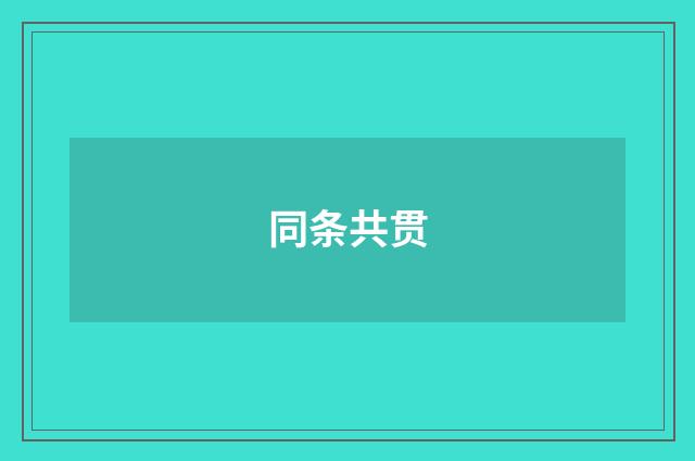 同条共贯