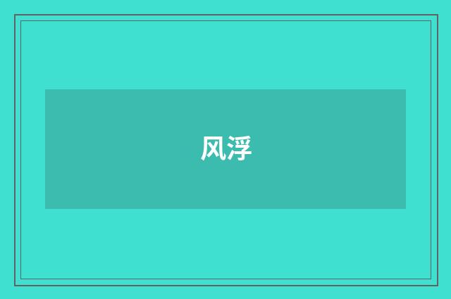 风浮
