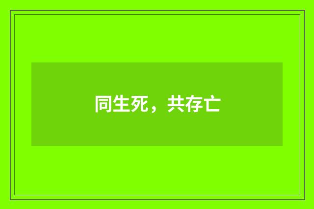 同生死，共存亡