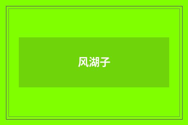 风湖子