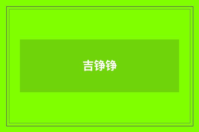 吉铮铮