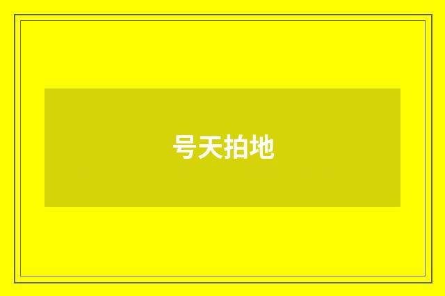 号天拍地