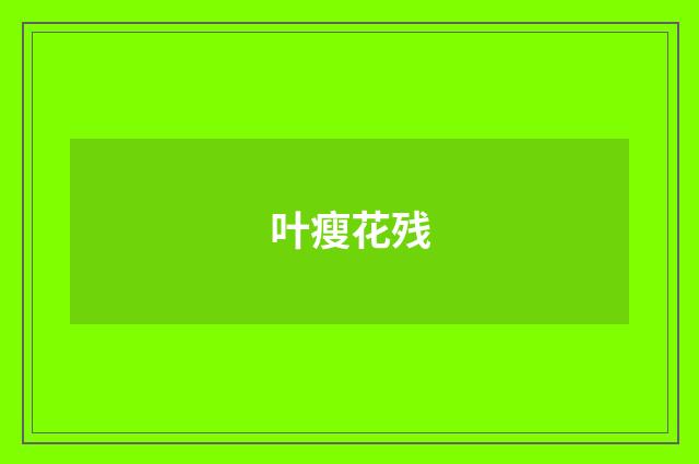 叶瘦花残