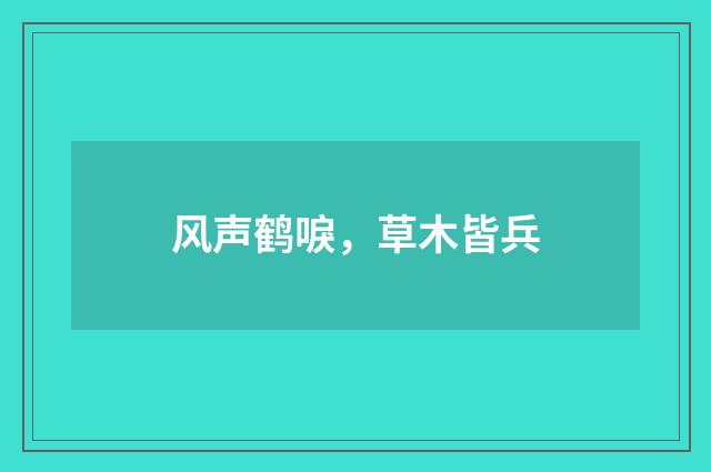 风声鹤唳，草木皆兵