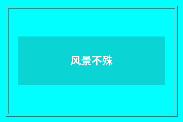 风景不殊