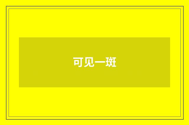 可见一斑