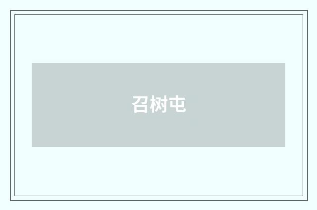 召树屯