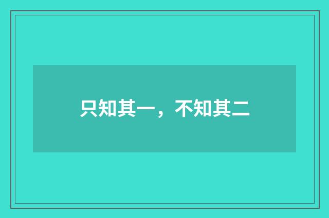 只知其一，不知其二