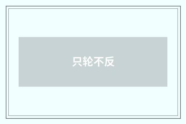 只轮不反