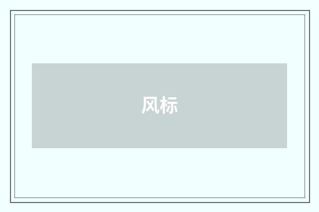 风标