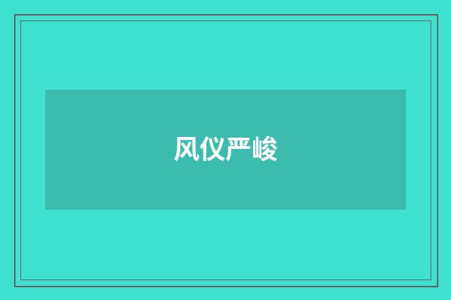 风仪严峻