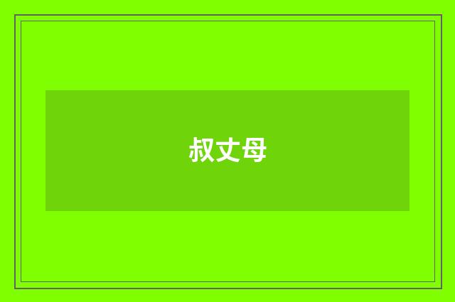 叔丈母