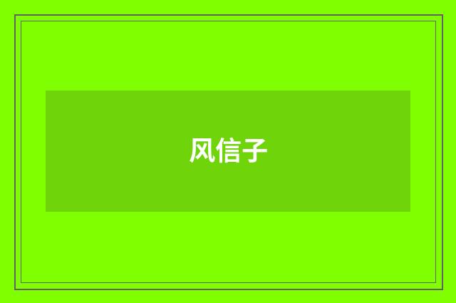 风信子