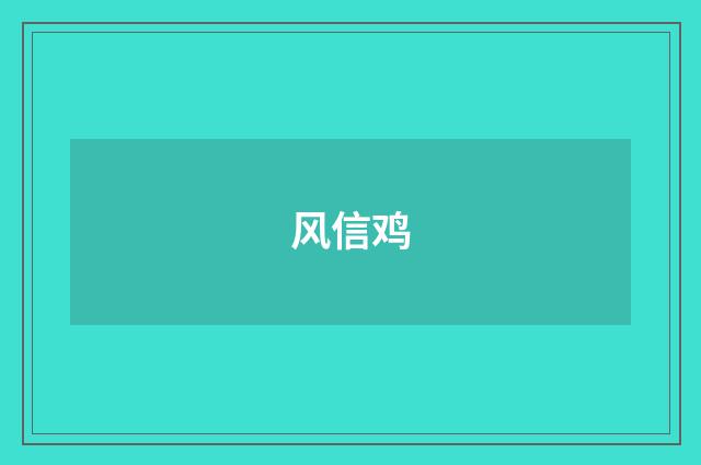 风信鸡