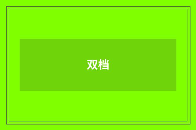 双档