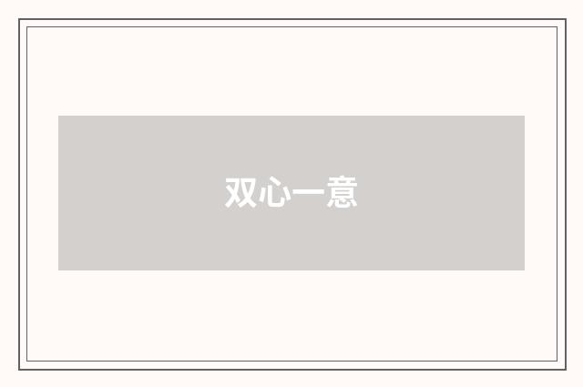 双心一意