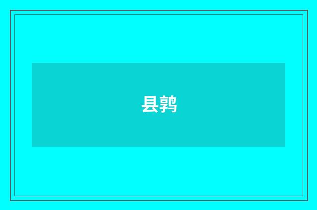 县鹑