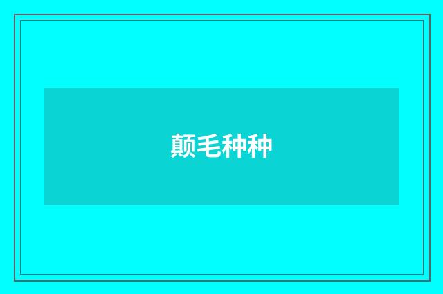 颠毛种种