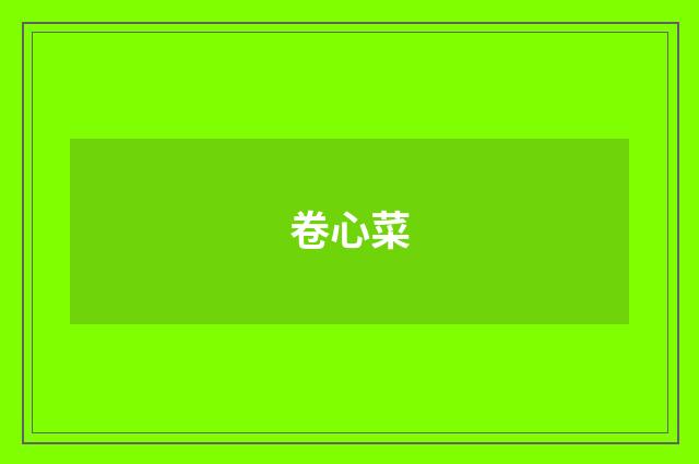 卷心菜