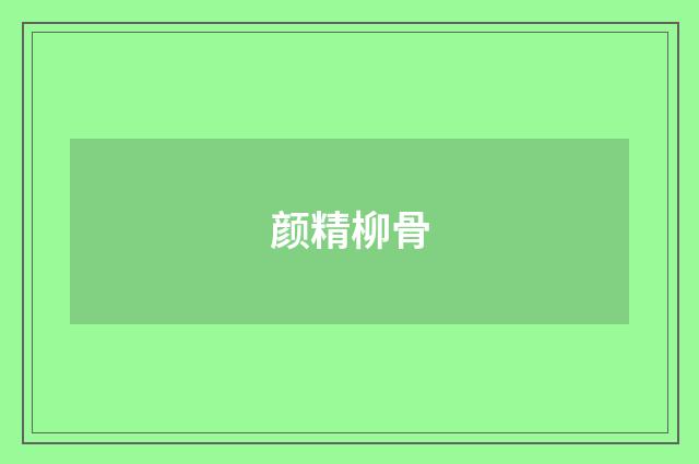 颜精柳骨