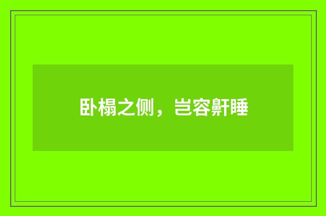 卧榻之侧，岂容鼾睡