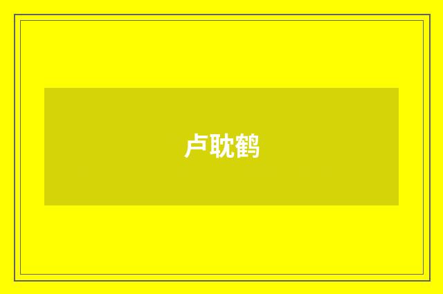 卢耽鹤