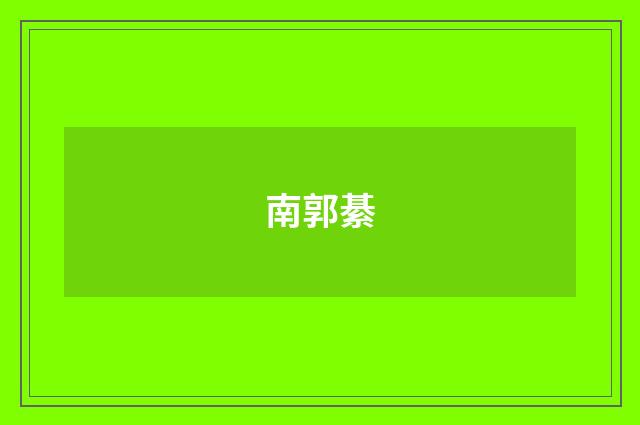 南郭綦