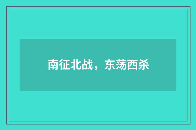 南征北战，东荡西杀