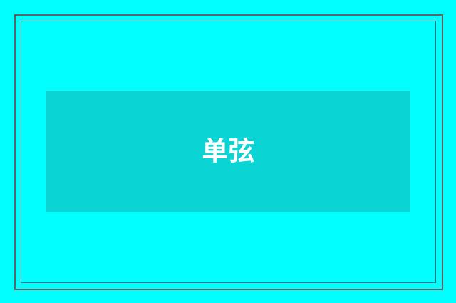 单弦