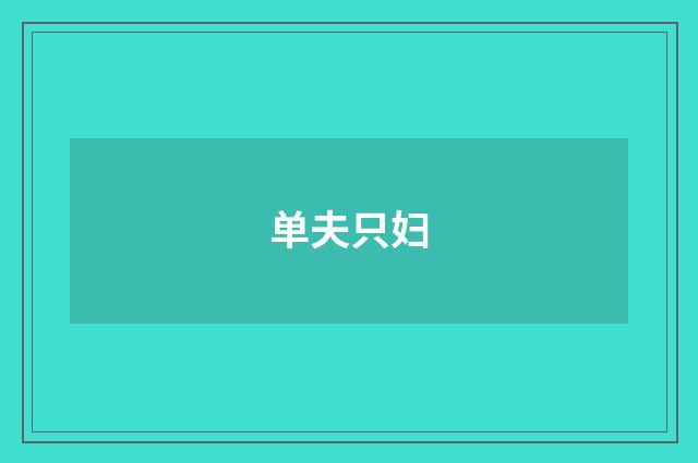 单夫只妇