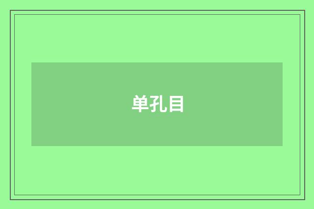 单孔目