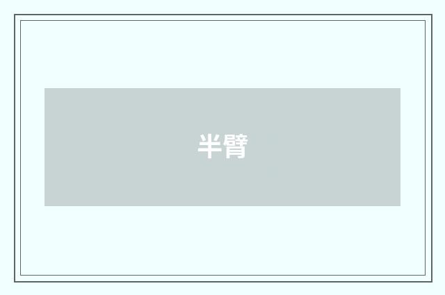 半臂