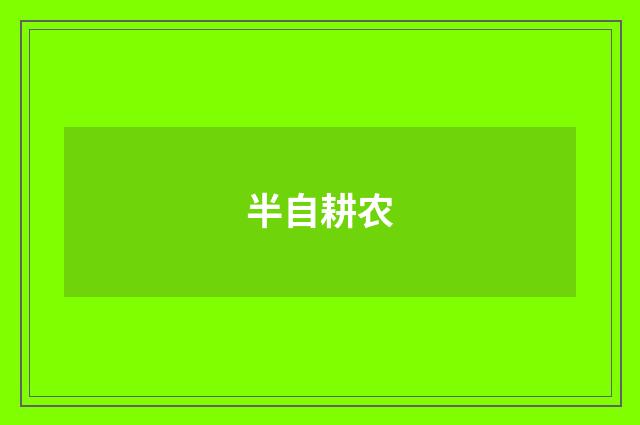 半自耕农