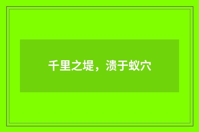 千里之堤，溃于蚁穴