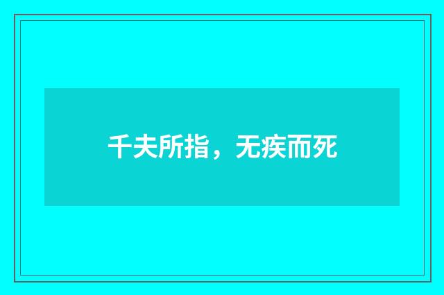 千夫所指，无疾而死