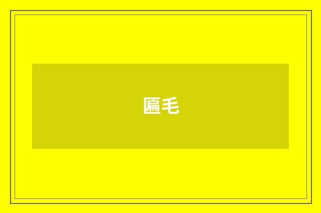 匾毛