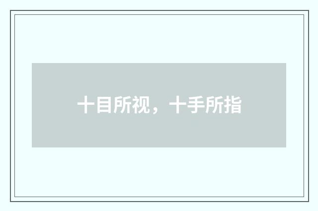 十目所视，十手所指