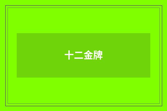 十二金牌